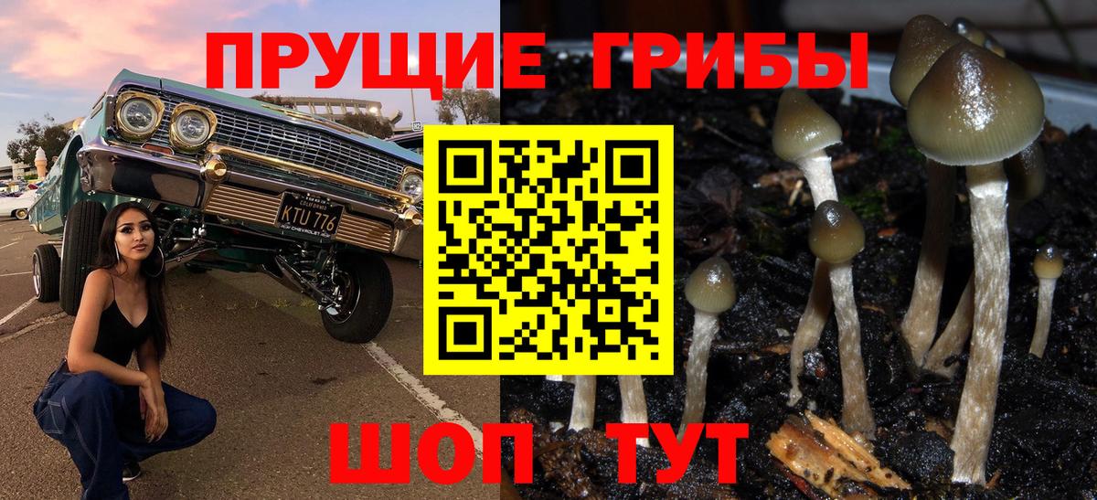 Дзержинск  Галлюциногенные грибы мухоморы  Вход с VPN 